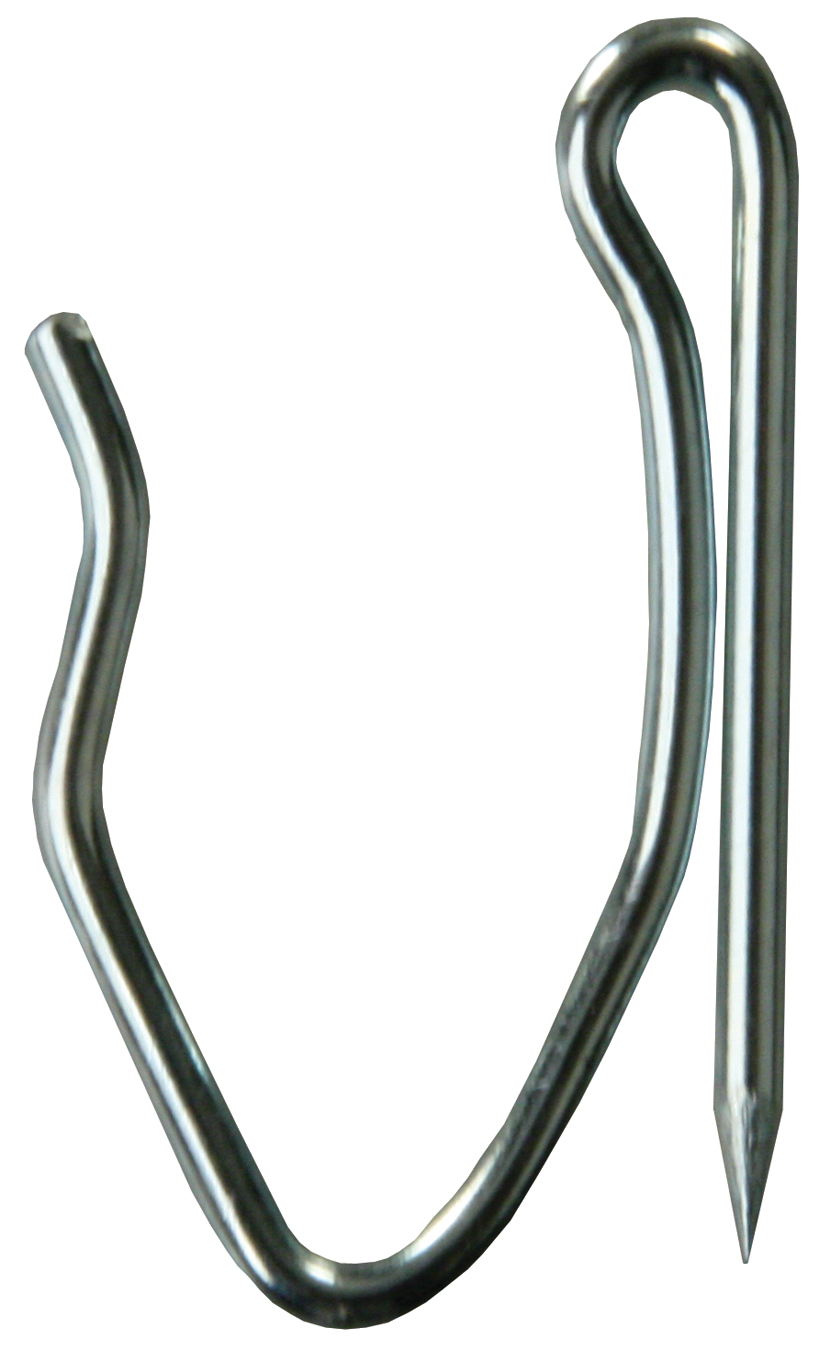 3781545.jpg