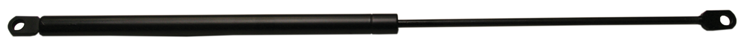 4817901.jpg