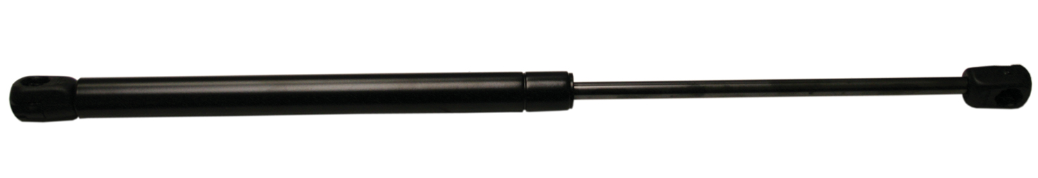 4830010.jpg